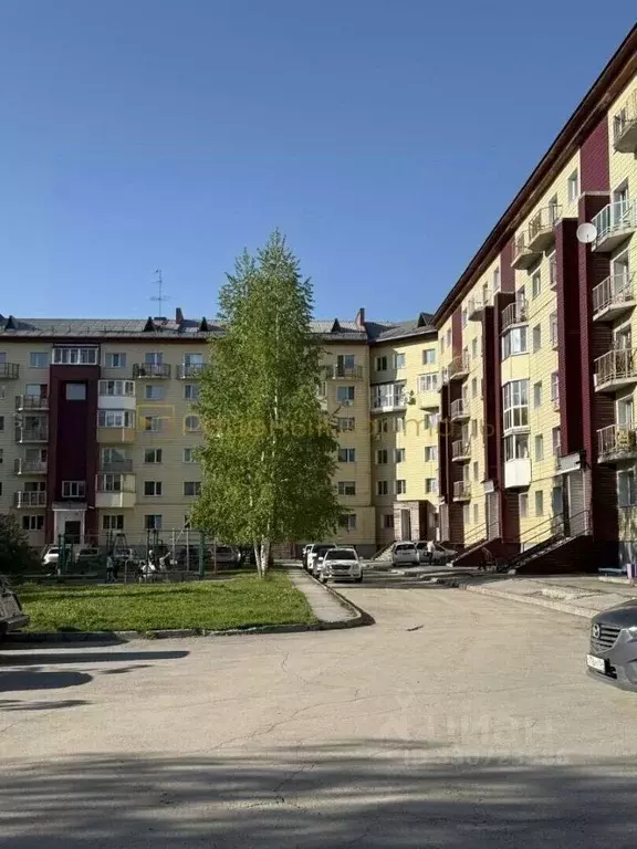 1-к кв. Новосибирская область, Бердск Большевистская ул., 53 (56.0 м) - Фото 1