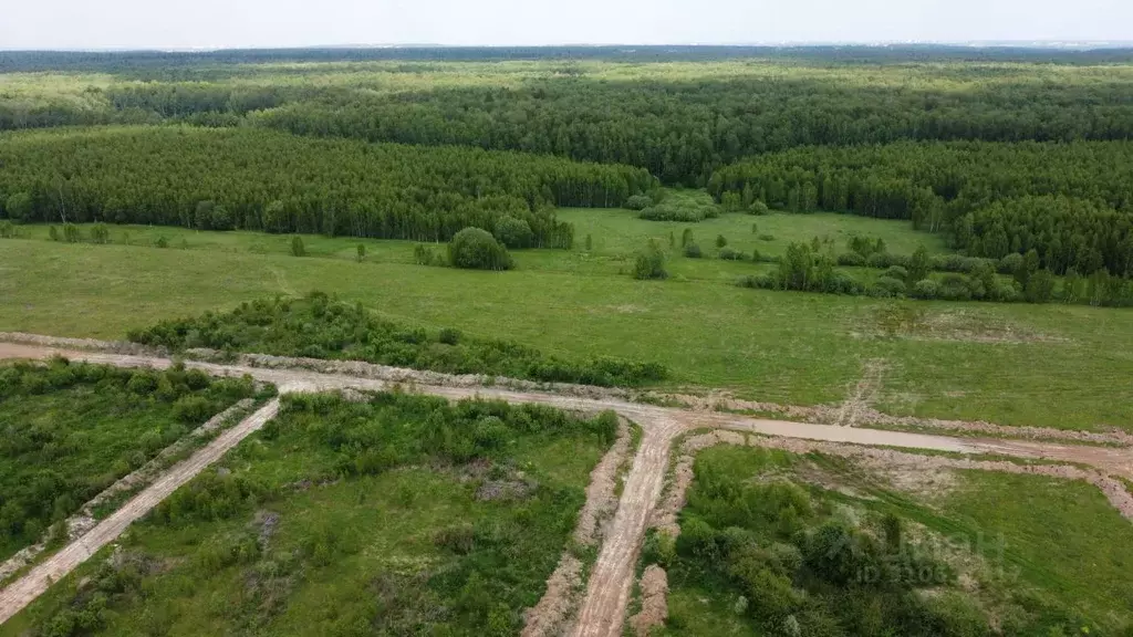 Участок в Московская область, Раменский городской округ, Оттепель кп ... - Фото 1