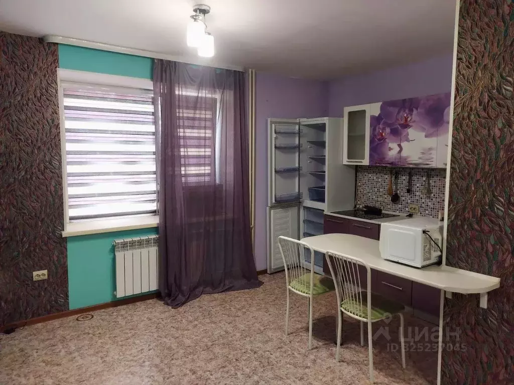 Студия Томская область, Томский район, Богашевское с/пос, пос. Ключи ... - Фото 2