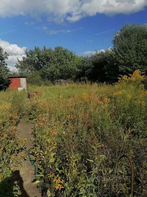 Участок в Липецкая область, Липецк Коммунальник СНТ,  (6.0 сот.) - Фото 2