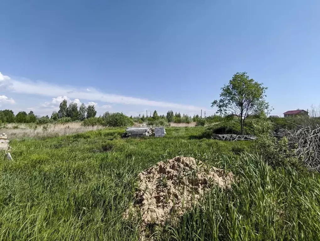 Участок в Тюменская область, Тюмень Факел СНТ, 8-я линия (10.8 сот.) - Фото 1