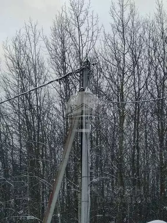 Дом в Новгородская область, Новгородский район, Ермолинское с/пос, № 5 ... - Фото 2