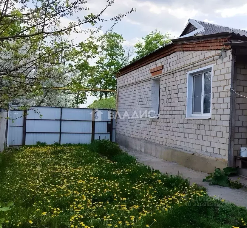 Дом в Белгородская область, Корочанский район, Большехаланское с/пос, ... - Фото 1