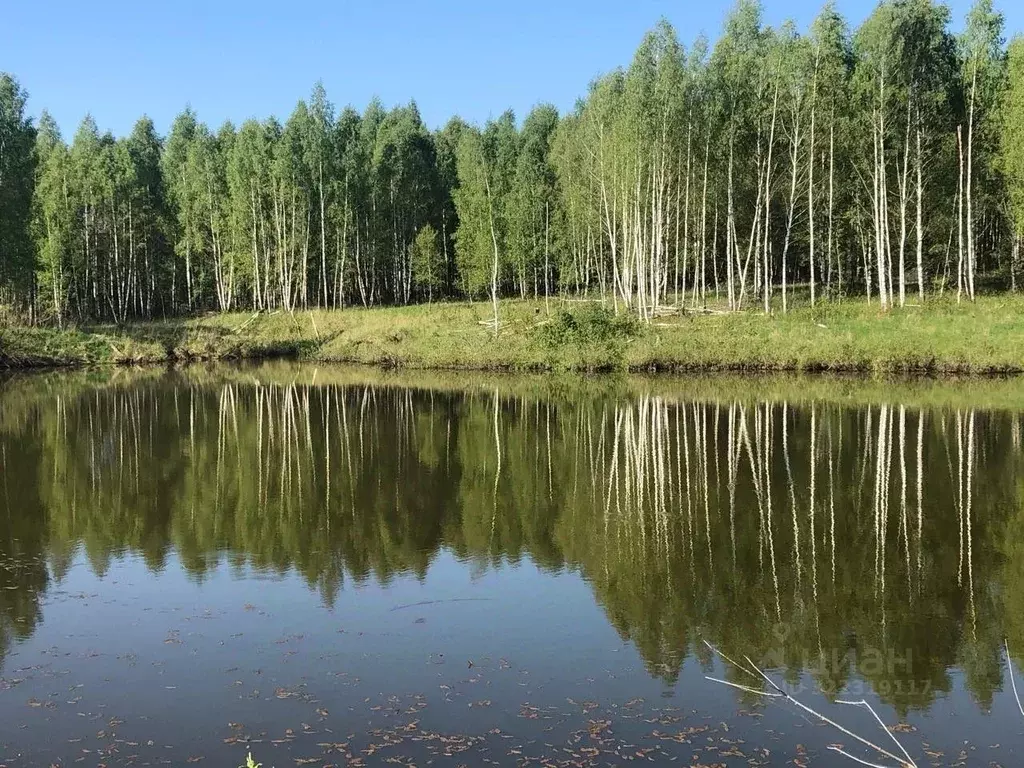 Участок в Тульская область, Ясногорский район, Иваньковское с/пос, с. ... - Фото 1