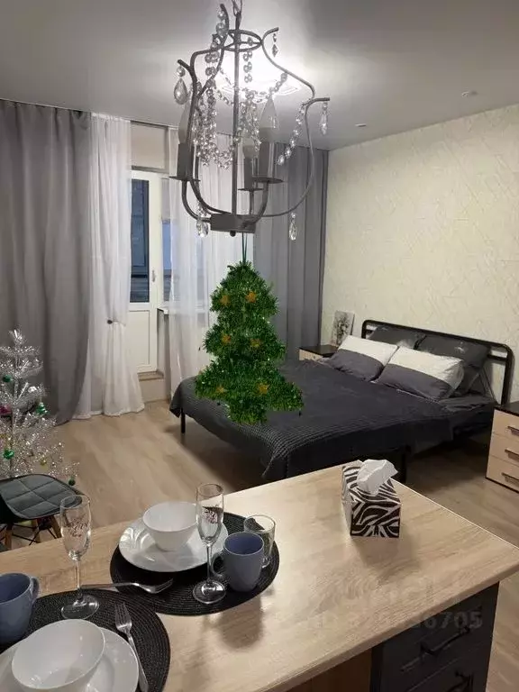 Студия Санкт-Петербург пос. Шушары, ул. Валдайская, 4к1 (32.0 м) - Фото 2