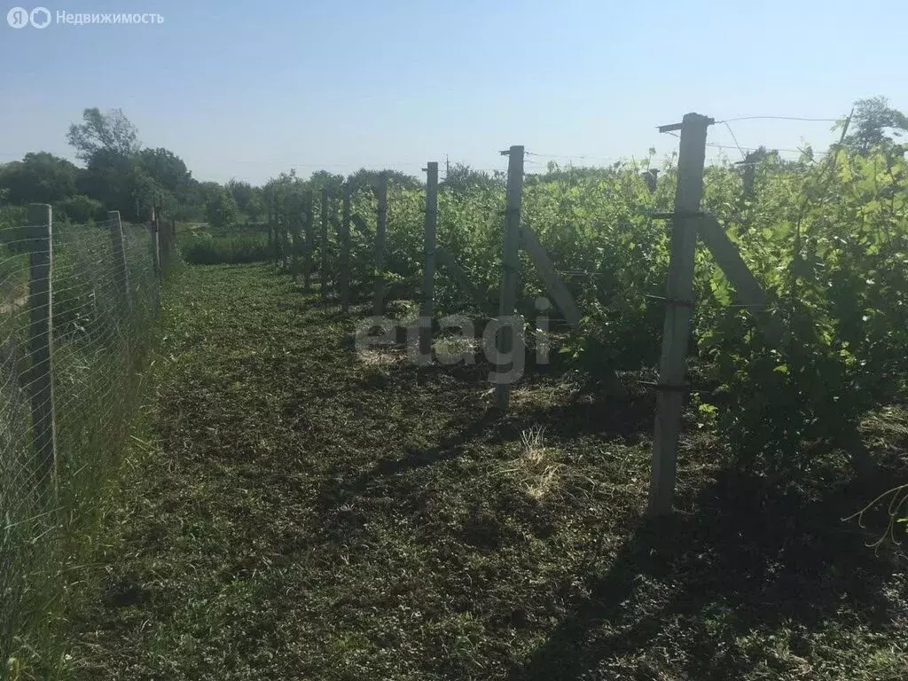 Участок в хутор Нижний, улица Чехова (1400 м) - Фото 0