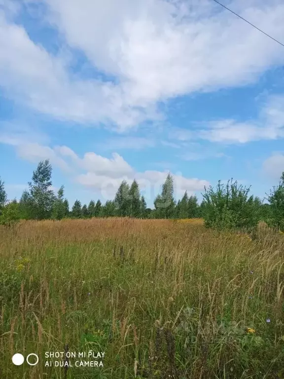 Участок в Тульская область, Богородицкий район, Бегичевское ... - Фото 0