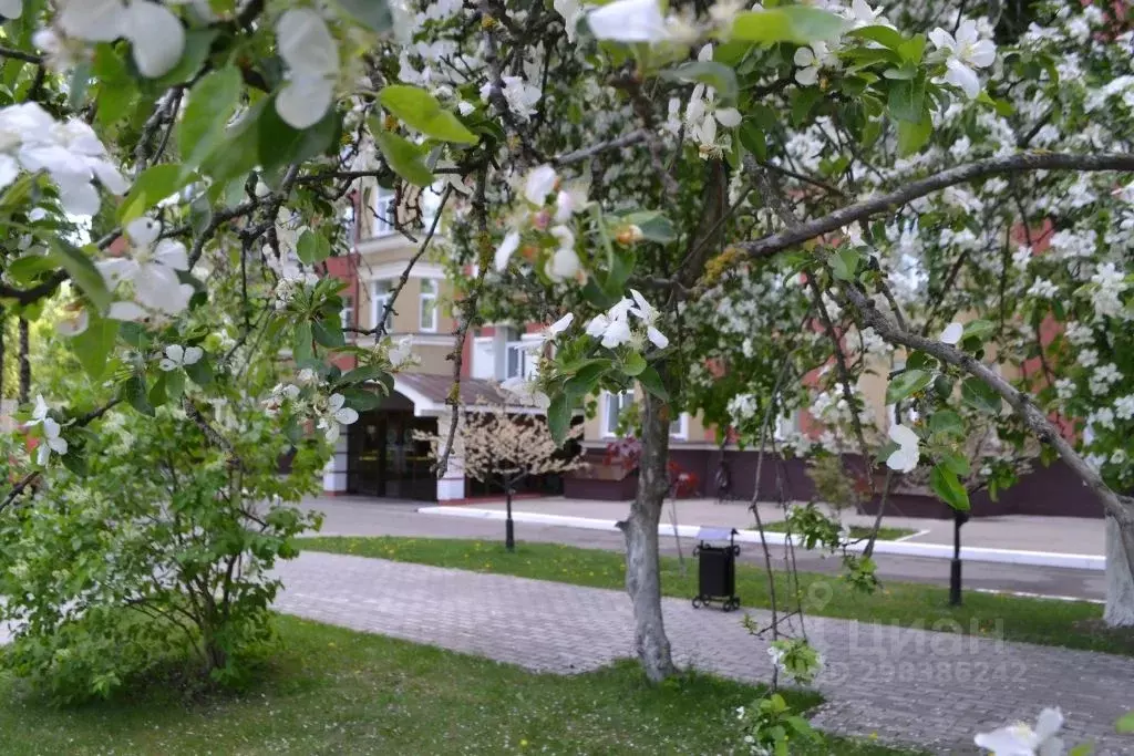 Комната Московская область, Жуковский ул. Маяковского, 18 (10.0 м) - Фото 2