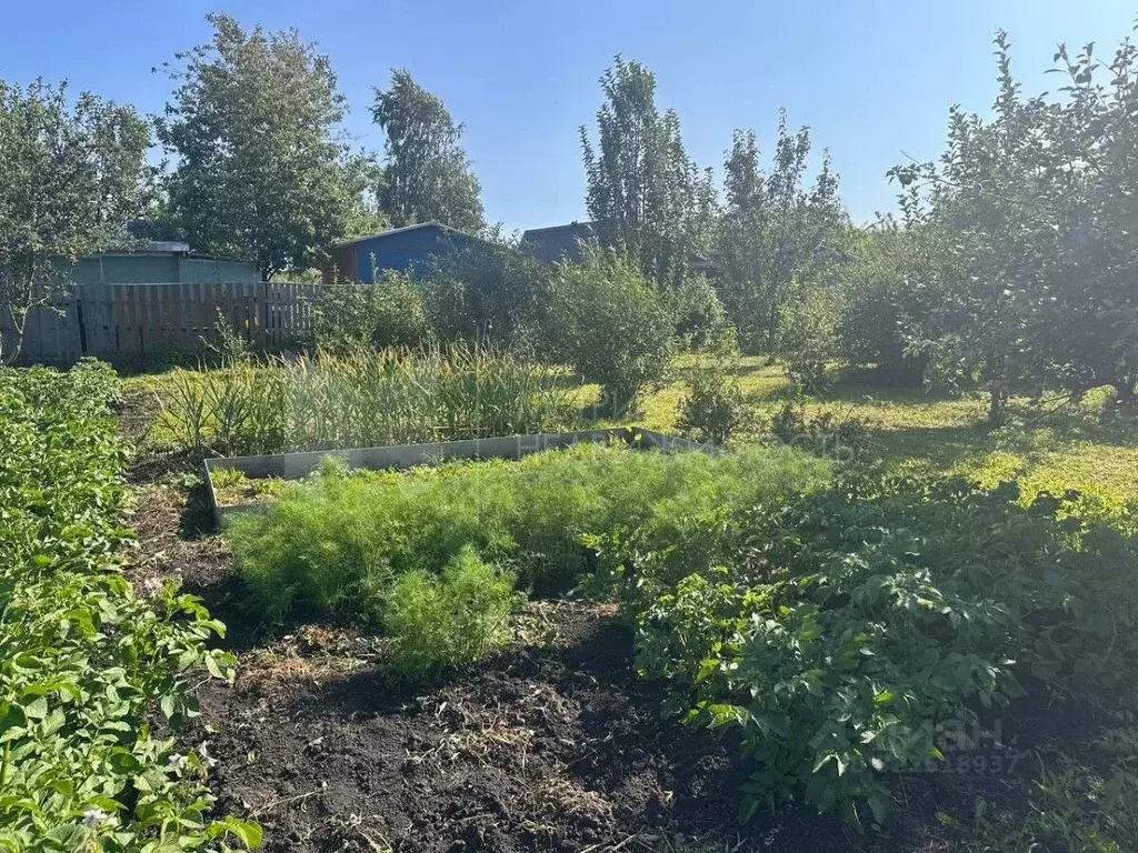 Дом в Тюменская область, Ялуторовский муниципальный округ, Виктория ... - Фото 1