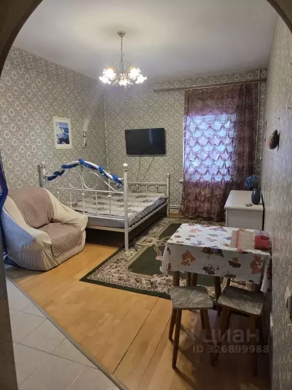 Студия Московская область, Балашиха Щитниково кв-л, 136Б (31.0 м) - Фото 2