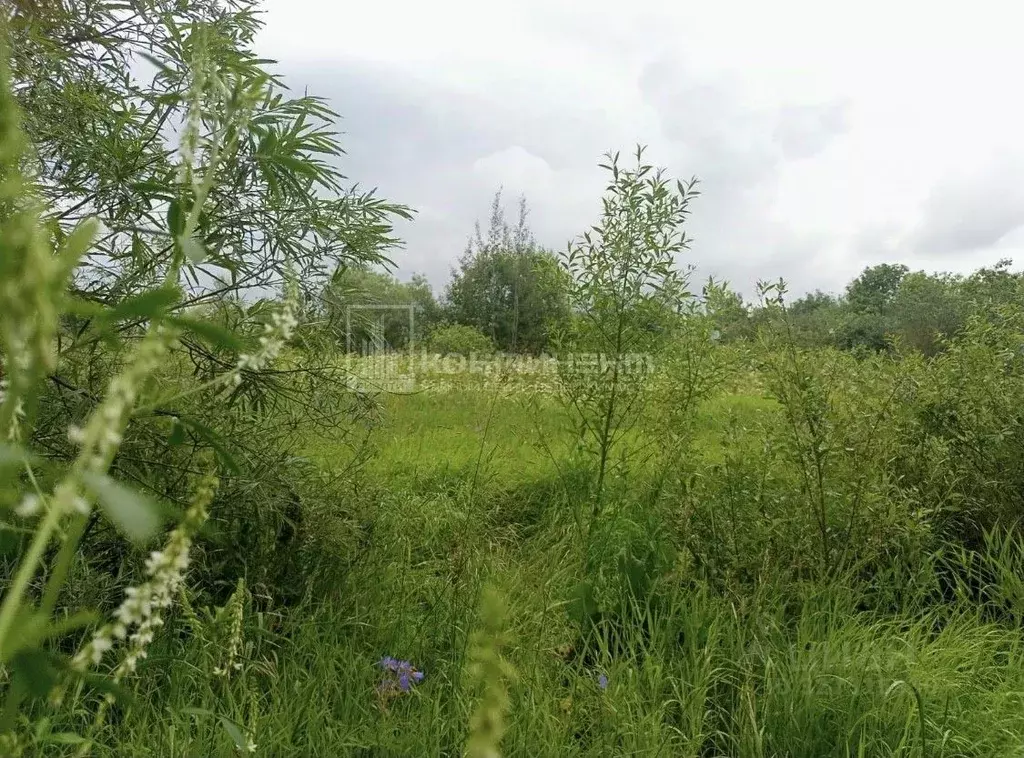 Участок в Владимирская область, Собинский муниципальный округ, д. ... - Фото 2