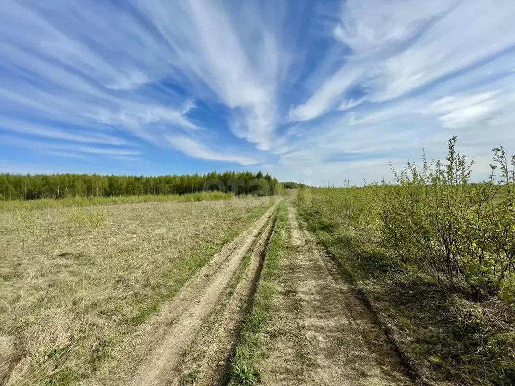 Участок в Смоленская область, Смоленский муниципальный округ, ... - Фото 1