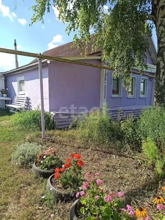 Дом в Мордовия, Рузаевский район, с. Болдово Никольская ул., 14 (65 м) - Фото 0