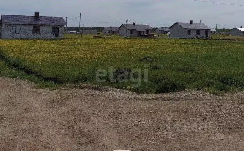 Участок в Пермский край, Краснокамский муниципальный округ, ... - Фото 2
