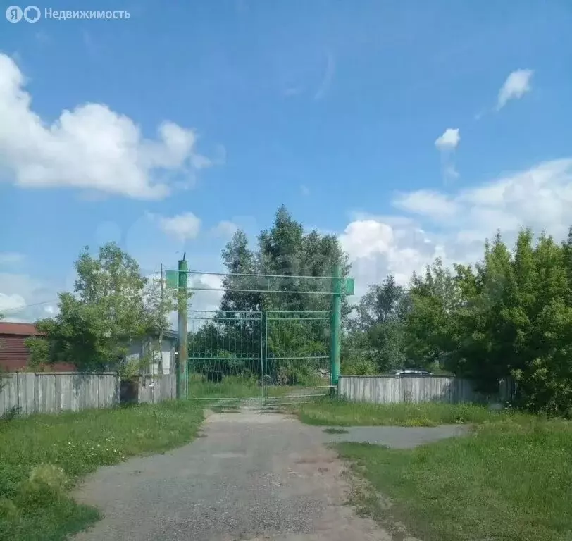 Участок в Казанское, улица Пушкина (49.5 м) - Фото 2