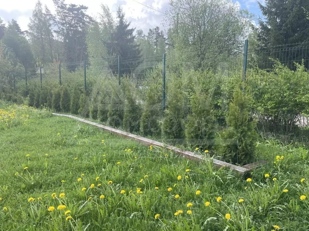 Участок в Ленинградская область, Приозерский район, Мельниковское ... - Фото 1