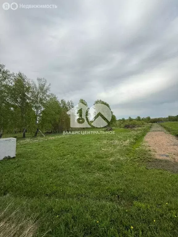 Участок в посёлок Октябрьский, Лесная улица, 3 (9 м) - Фото 1