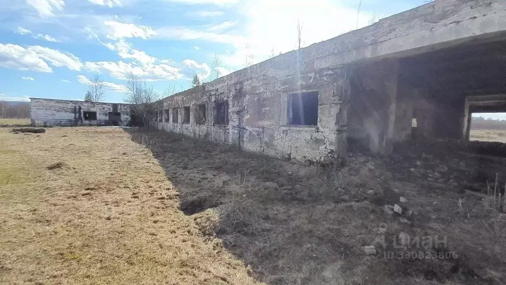 Помещение свободного назначения в Башкортостан, Кигинский район, ... - Фото 1