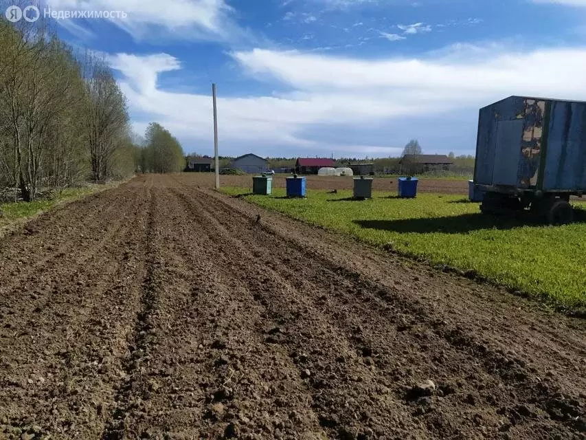 Участок в Волосовский район, Бегуницкое сельское поселение, деревня ... - Фото 0