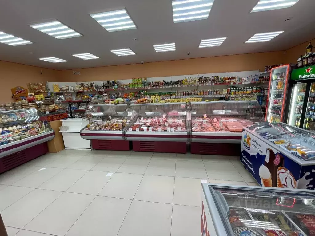 Торговая площадь в Пермский край, Пермский муниципальный округ, д. ... - Фото 2