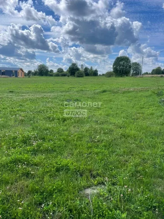 Участок в Московская область, Шаховская городской округ, д. Лукошкино ... - Фото 0