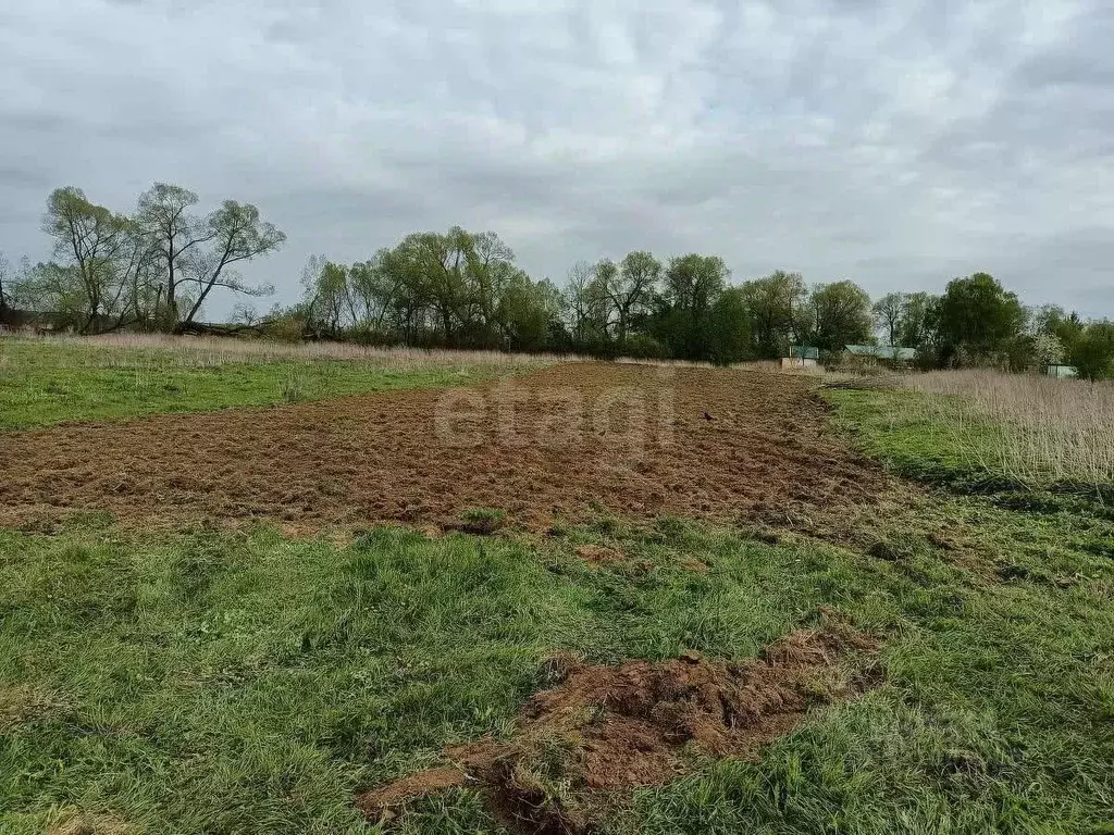 Участок в Калужская область, Жуковский район, Трубино с/пос, д. ... - Фото 2