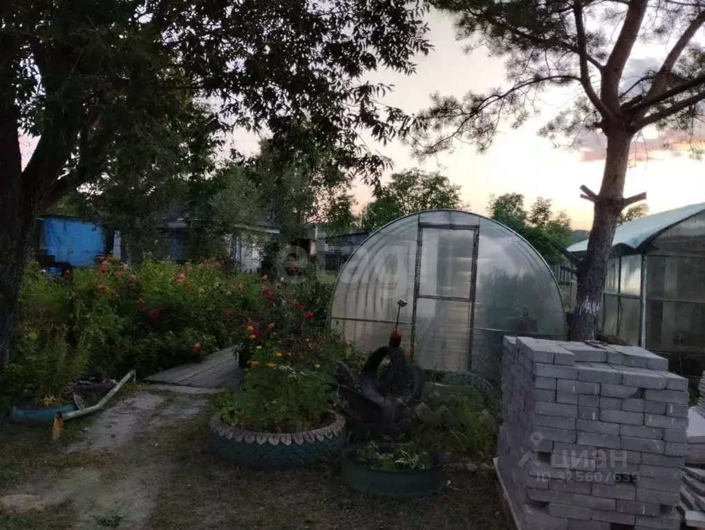 Дом в Амурская область, Райчихинск Волочаевская ул., 13 (33 м) - Фото 2