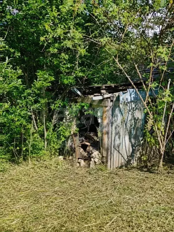 Участок в Псковская область, Псков Чайкин Луг СНТ, 16 (6.0 сот.) - Фото 2