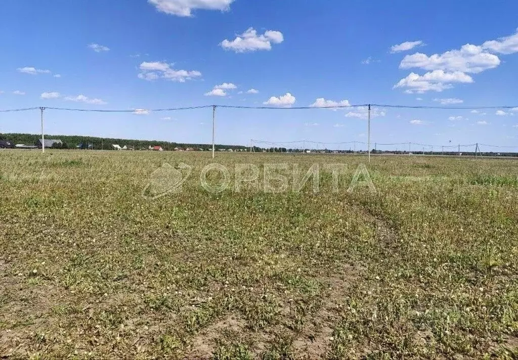 Участок в Тюменская область, Заводоуковск Южный мкр,  (9.56 сот.) - Фото 2