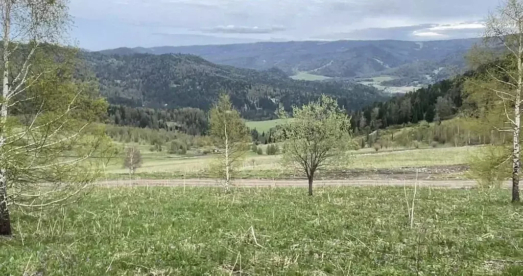 Участок в Алтай, Чемальский район, Элекмонарское с/пос  (23.9 сот.) - Фото 0