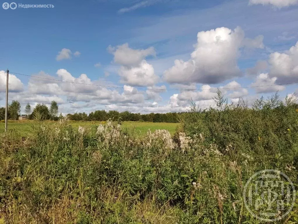 Участок в Волошовское сельское поселение, деревня Затрубичье (22 м) - Фото 2