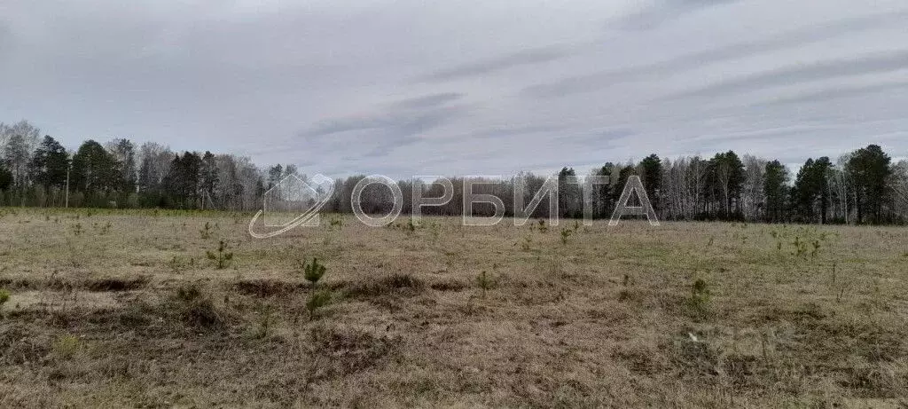 Участок в Тюменская область, Тюменский район, Новокаменский кп ул. ... - Фото 1