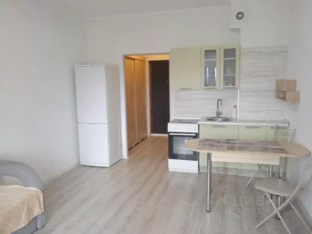 Студия Псковская область, Псковский муниципальный округ, Писковичская ... - Фото 2