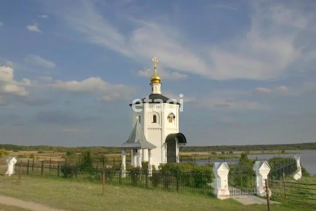 Участок в Владимирская область, Петушинское муниципальное образование, ... - Фото 1