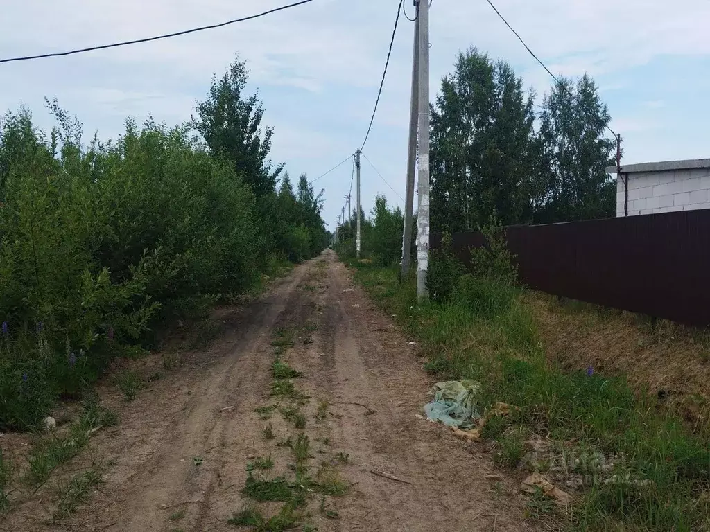 Участок в Ленинградская область, Кировский район, Синявинское ... - Фото 0