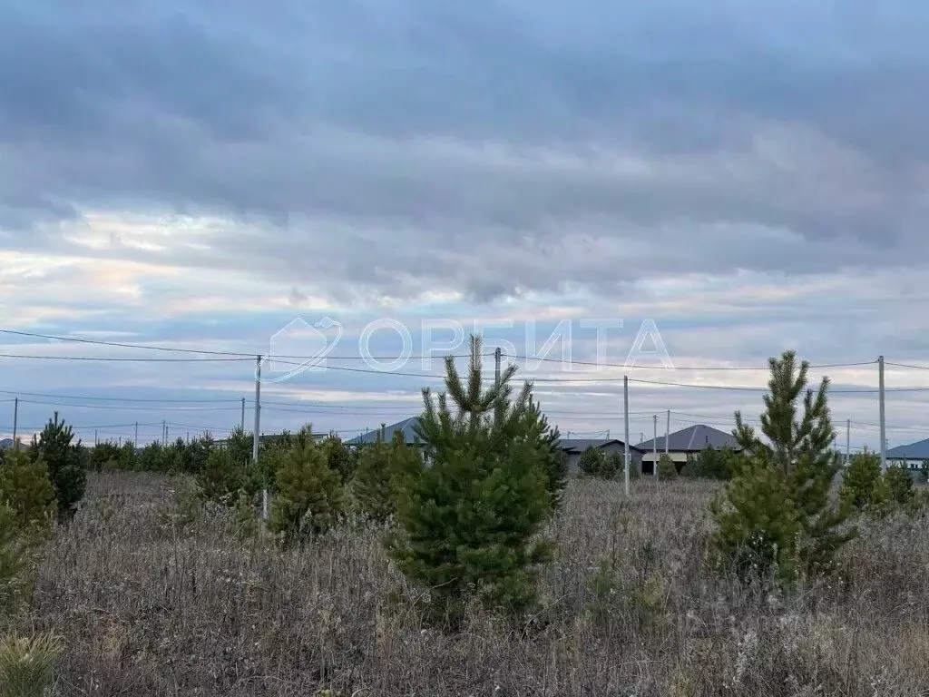 Участок в Тюменская область, Тюменский район, д. Елань  (8.0 сот.) - Фото 0