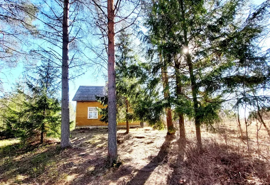 Дом в Пряжинский район, посёлок Матросы (130 м) - Фото 2