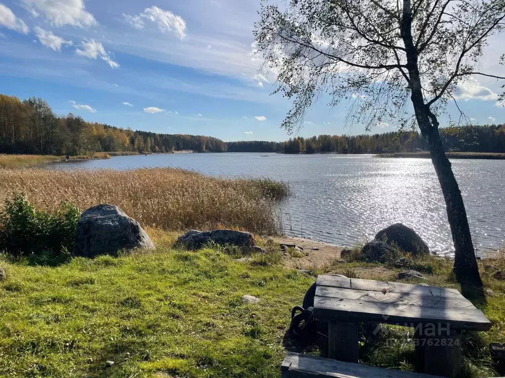 Участок в Ленинградская область, Приозерский район, Ромашкинское ... - Фото 2