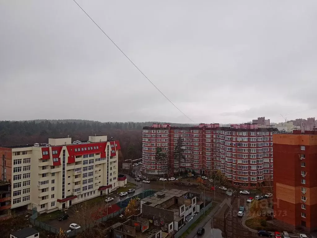 1-к кв. Самарская область, Тольятти ул. 40 лет Победы, 5Б (33.0 м) - Фото 1