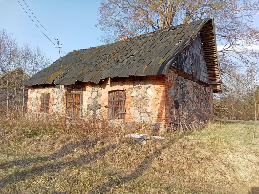 Участок в Псковская область, Стругокрасненский район, пос. Гористо  ... - Фото 0