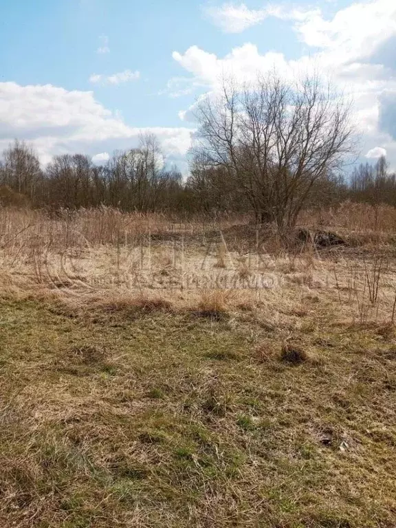 Участок в Ленинградская область, Кингисеппский район, Большелуцкое ... - Фото 2