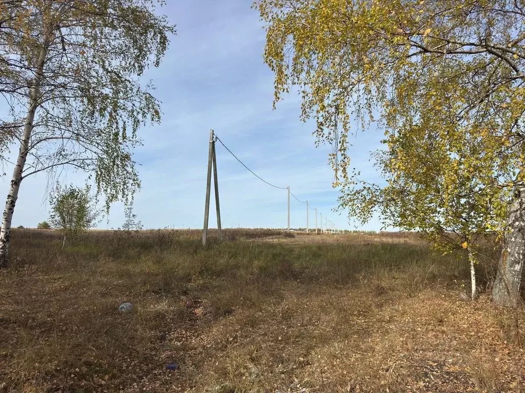 Участок в Пензенская область, с. Бессоновка, Радужный эко-посёлок  ... - Фото 1