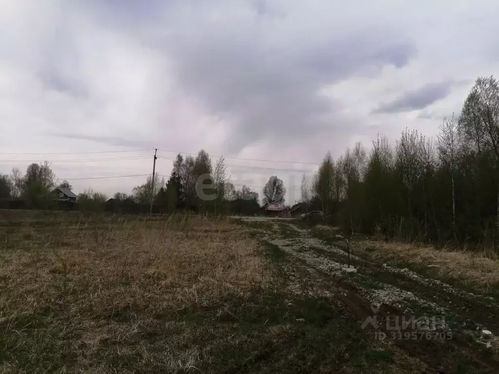 Участок в Нижегородская область, Выкса городской округ, с. Борковка, ... - Фото 1
