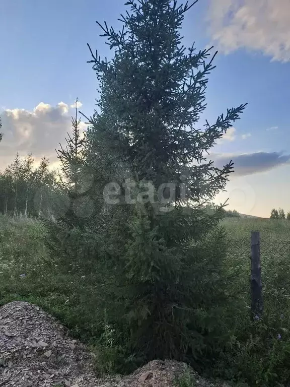 Участок 15 сот. (ИЖС) - Фото 0