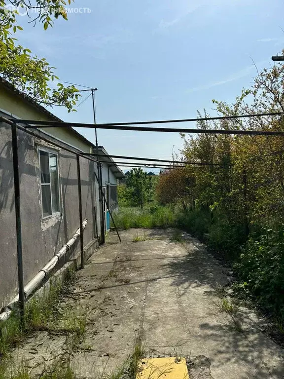 Участок в Дербент, СТ Берёзка (10.3 м) - Фото 1