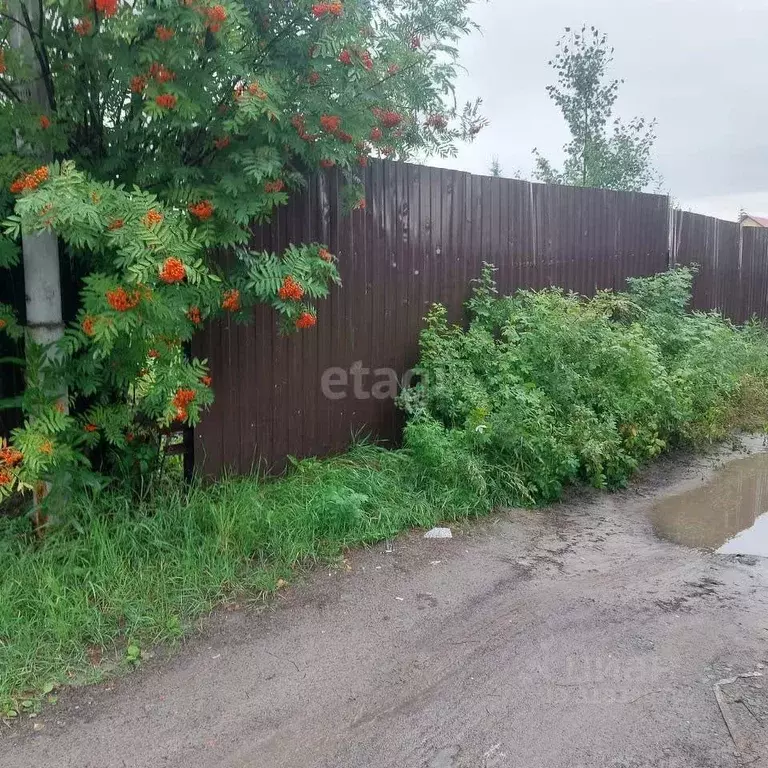 Участок в Ханты-Мансийский АО, Нижневартовский район, Излучинск ... - Фото 2