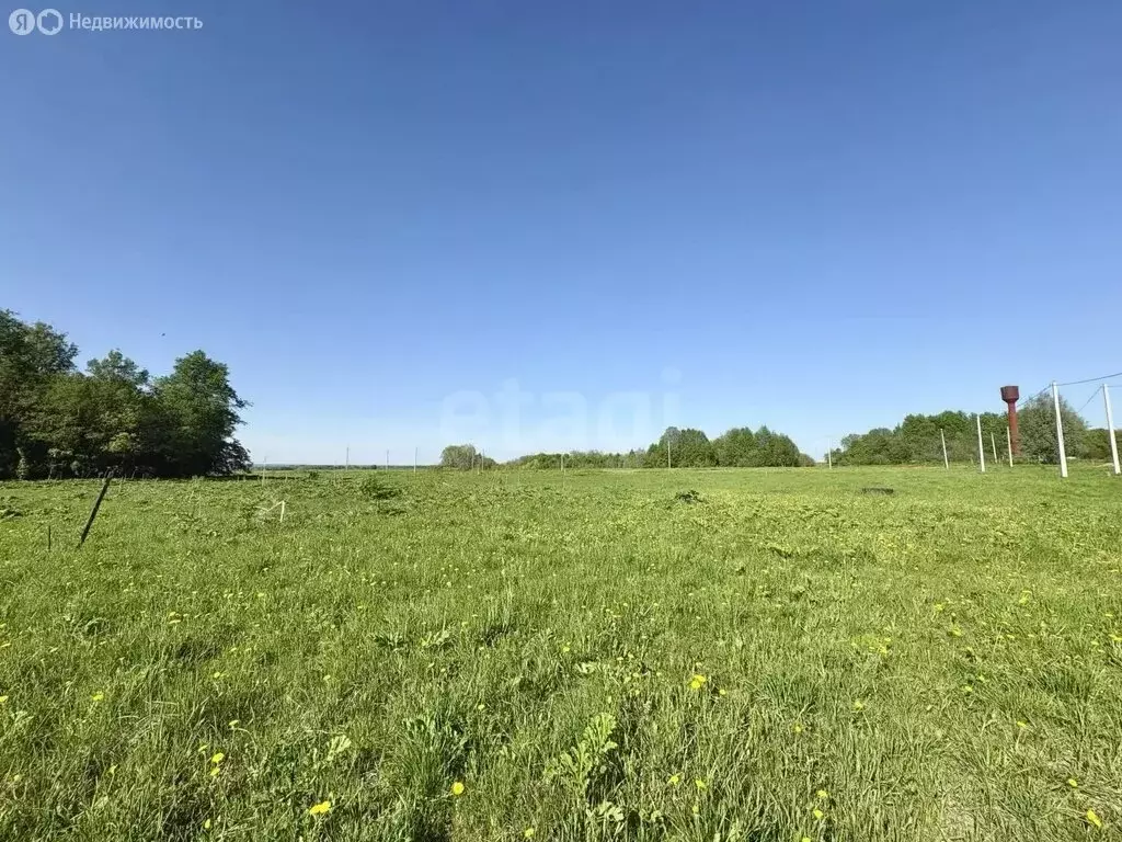 Участок в Медведевский район, Кузнецовское сельское поселение, деревня ... - Фото 2