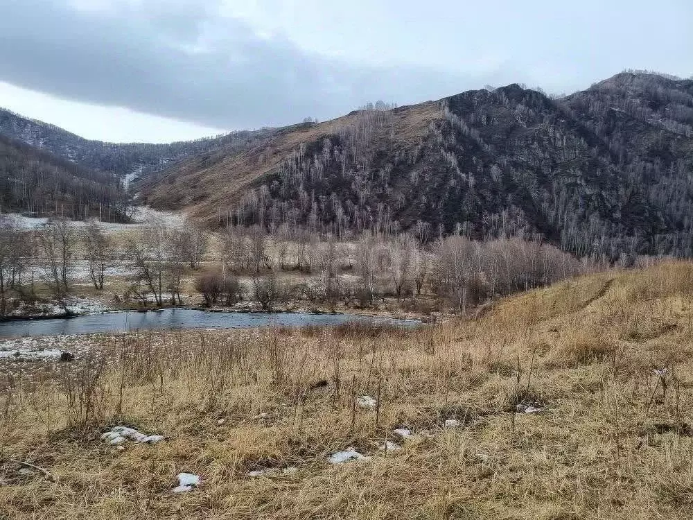 Участок в Алтай, Шебалинский район, с. Мыюта Трактовая ул., 22 (5.7 ... - Фото 0