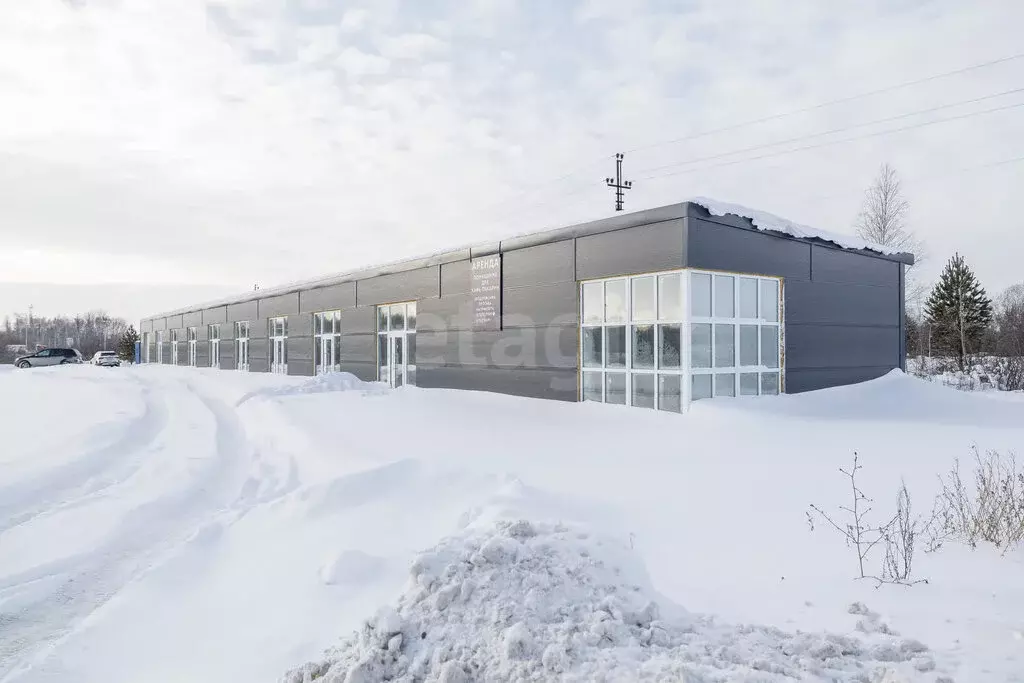 Торговая площадь (500 м) - Фото 2