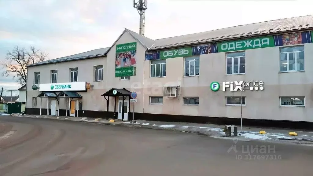 Помещение свободного назначения в Пензенская область, Лунино рп ул. ... - Фото 1